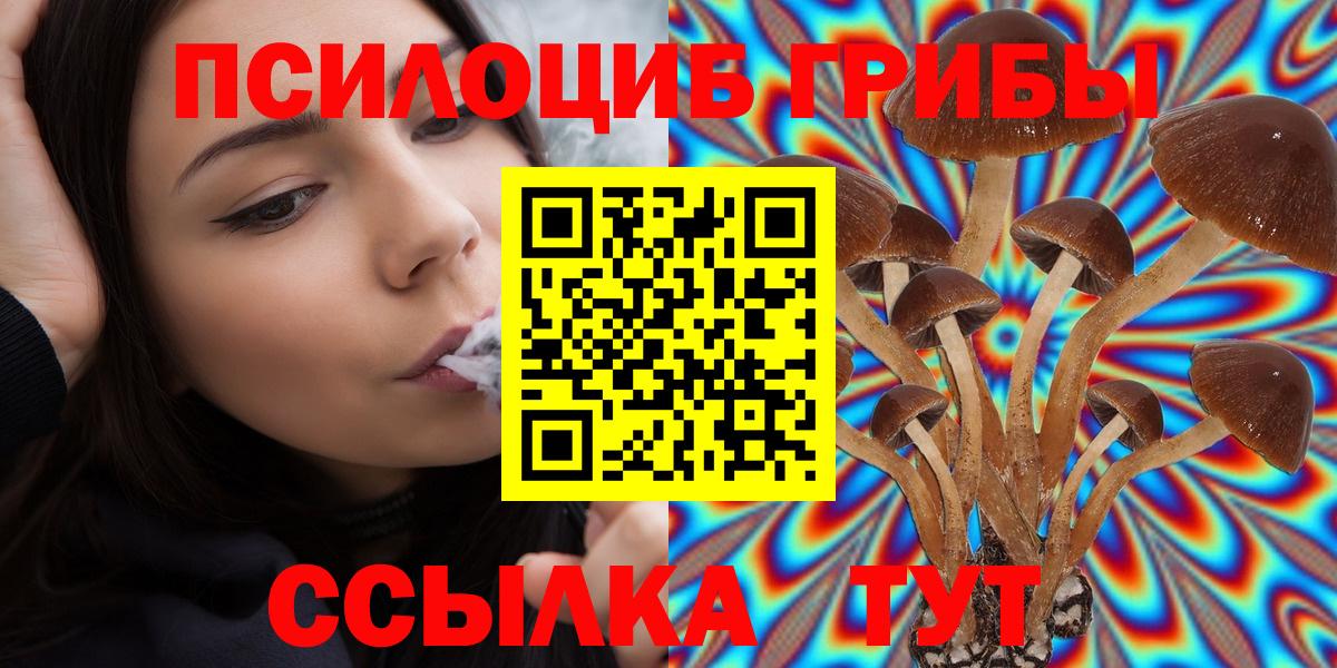 Псилоцибиновые грибы Psilocybe  где купить   Галлюциногенные грибы мицелий  Краснокаменск 